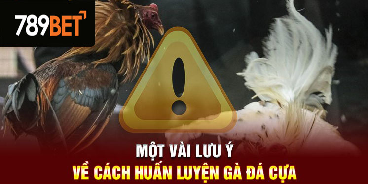 Một vài lưu ý về cách huấn luyện gà đá cựa